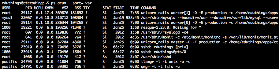 output of command: ps aeux --sort=-vsz